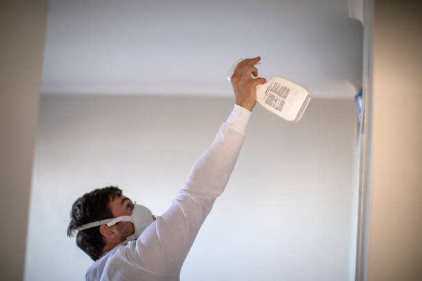 Best Mold Testing and Inspection Services in Morrice, MI